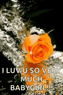 Rose Love GIF - Rose Love I Love You So Much GIFs