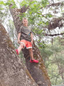 a young boy wearing a pokemon shirt is sitting on a tree branch