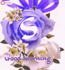 Good Morning Have A Nice Day GIF - Good Morning Have A Nice Day Wishes GIFs