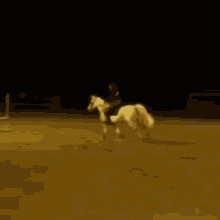 Horse Horse Fall GIF - Horse Horse Fall Horse Falling GIFs