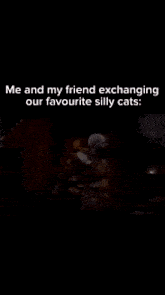 Cats Cat Meme GIF - Cats Cat Cat Meme GIFs