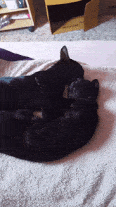 two black cats laying on top of each other on a white blanket