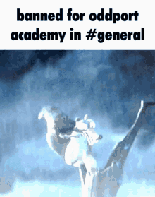 Oddport Academy Academy GIF