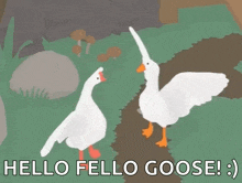 a picture of two geese with the words hello fello goose written below them