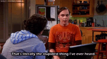 Sheldon Stupid GIF - Sheldon Stupid Crazy GIFs