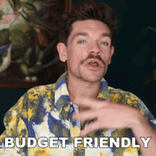Budget Friendly Robin James GIF - Budget Friendly Robin James Inexpensive GIFs