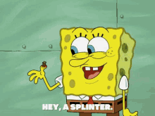 Splinter Spongebob GIF