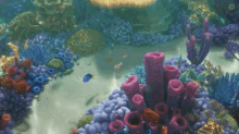 Swimming In The Reef GIF - Finding Dory GIFs