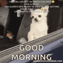 a white dog is sitting in the back seat of a car and looking out the window .