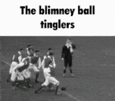 Blimney Street Blimney Ball Tinglers GIF - Blimney Street Blimney Ball Tinglers Bougainville GIFs