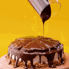 chocolate is being poured on a cake with nuts on top