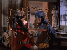 batshield batman robin