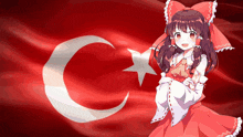 Turkey Turkish GIF - Turkey Turkish Turkey Flag GIFs