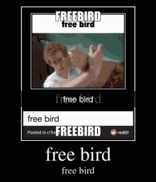 Free Bird GIF - Free Bird GIFs