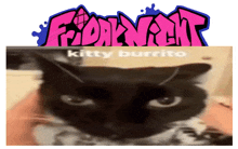Burrito Kitty GIF - Burrito Kitty GIFs