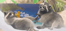 Cartoon Raccoon GIF - Cartoon Raccoon Mapache GIFs