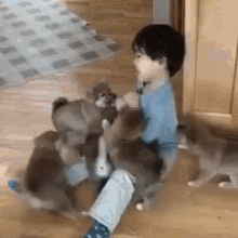 Dogs Kid GIF - Dogs Kid Puppies GIFs