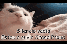 Jojo Stand Proud GIF - Jojo Stand Proud Cat GIFs