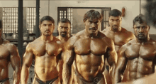 Indian Gym Fight Hunks GIF