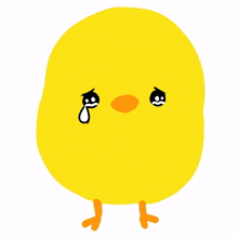 bird cute animal yellow sad