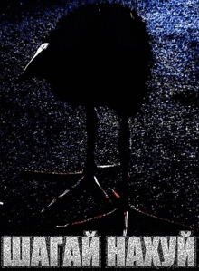 a picture of a bird with the words шагай нахуй