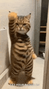 GIF