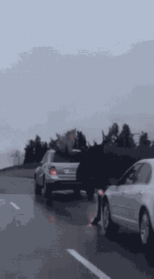 Moose Road GIF