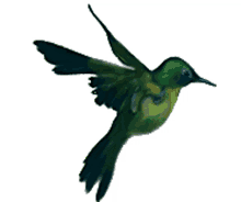 parabens bird green