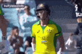 a fine 50 for warner trending cricket sports.australia warner
