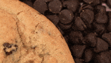 Crumbl Cookies Brookie Cookie GIF - Crumbl Cookies Brookie Cookie Cookies GIFs