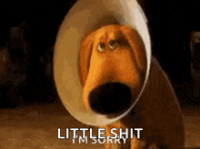 a cartoon dog wearing a cone on its head is sitting down and saying `` little shit i 'm sorry '' .