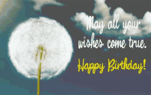 Happy Birthday May All Your Wishes Come True GIF - Happy Birthday May All Your Wishes Come True GIFs