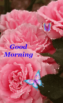 good morning love you pink flowers
