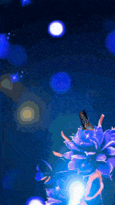a butterfly is sitting on a purple flower