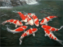 Mousa Mousa Fish GIF - Mousa Mousa Fish Mousa Movies Fish GIFs