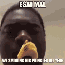 Esat Mal We Smoking Big Pringles All Year GIF - Esat Mal We Smoking Big Pringles All Year Meme GIFs
