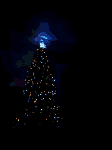 Christmas Tree Star GIF - Christmas Tree Star Lights GIFs