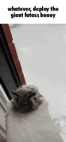a cat looking out of a window with the caption whatever deploy the giant fatass bnuuy
