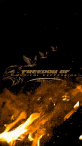 a poster that says freedom of musical expression