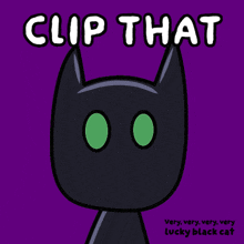 clip that very very very very lucky black cat with green eyes