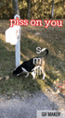 Dogs Cute GIF - Dogs Cute Piss On You GIFs