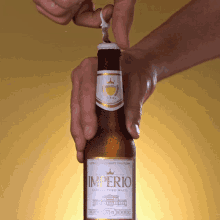 Cerveja Longneck GIF