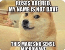 a doge meme that says roses are red , my name is not dave this makes no sense , microwave