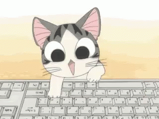 cat gif  Kitty Bloger