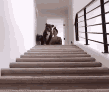 Escaleras Felicidad GIF - Escaleras Felicidad Feliz GIFs