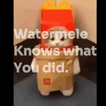 Watermelon Watermele Knows What You Did GIF - Watermelon Watermele Knows What You Did Gun GIFs