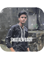 Swatala Bagh Sticker - Swatala Bagh Stickers