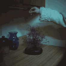 making a bonsai grow renforshort moshpit song sprinkling dust growing a bonsai