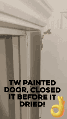 closed before it dried okay emoji painted doors