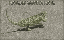 Lizard Pimp Walk Cause Haters Gonna Hate GIF - Lizard Pimp Walk Haters Gonna Hate GIFs